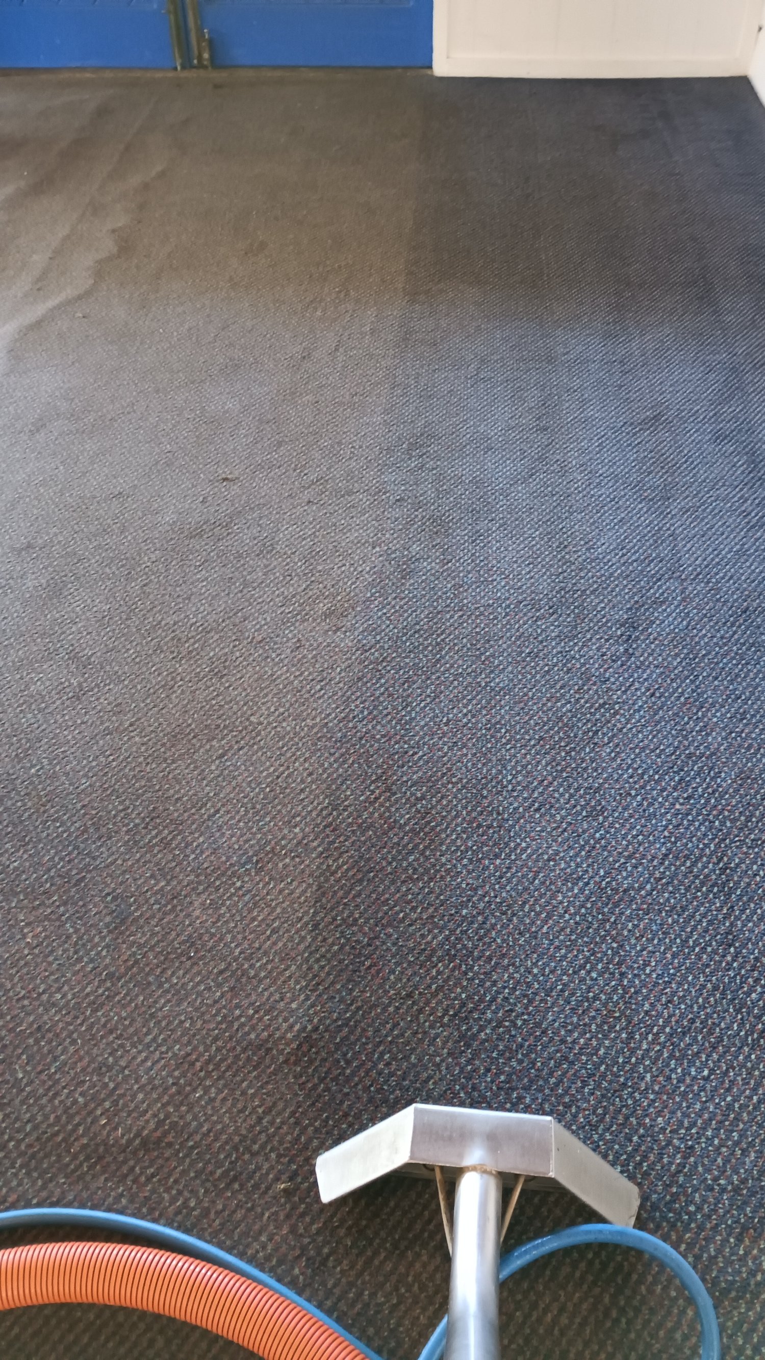 Bond Clean Carpet Auckland